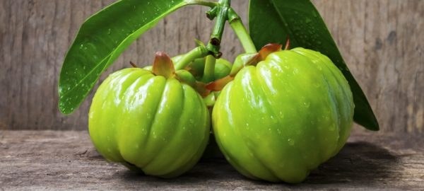 Garcinia Cambogia